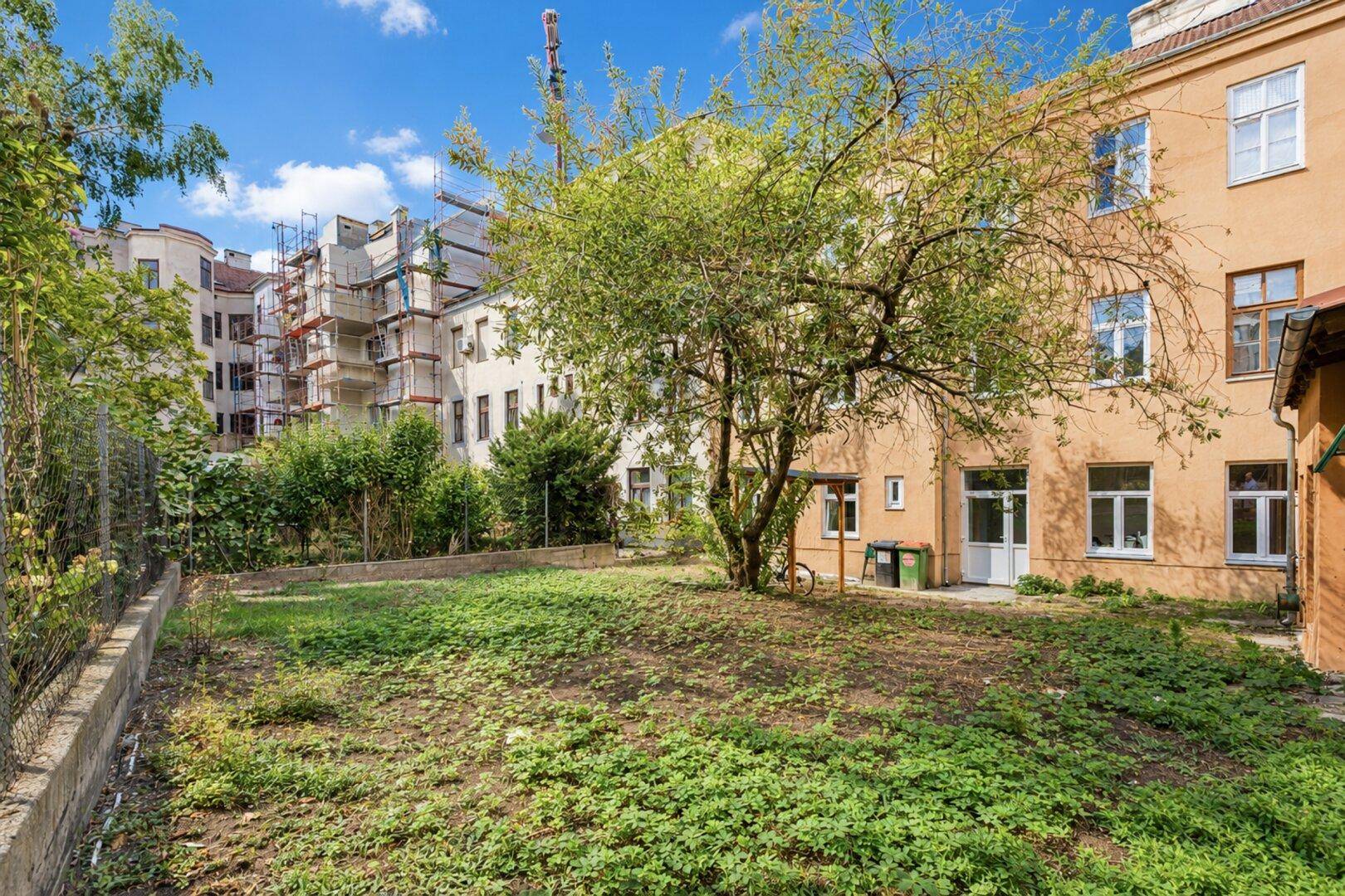 Großer, ungepflegter Gartenbereich mit altem Baum und Blick auf umliegende Gebäude.