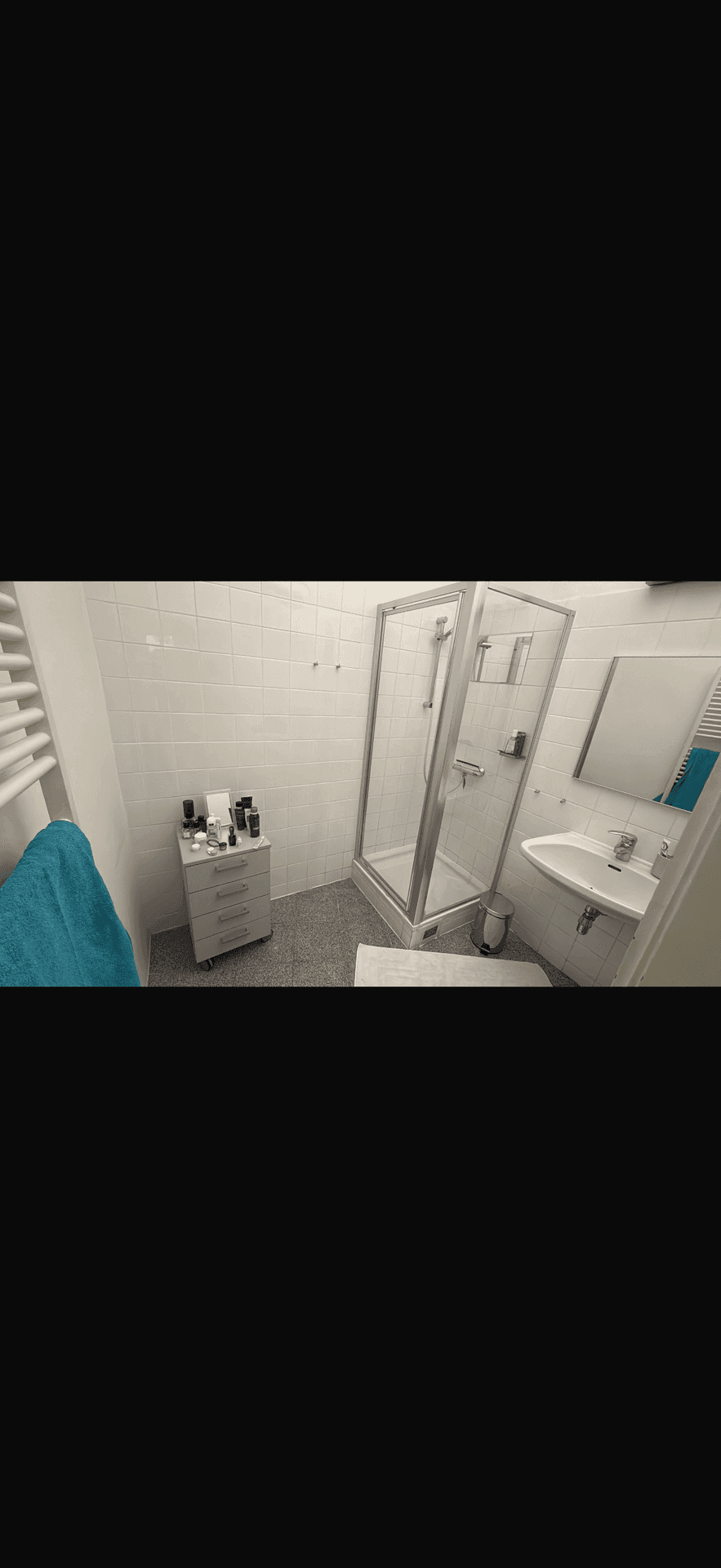 Modernes Badezimmer mit Duschkabine, Waschbecken und beheiztem Handtuchhalter.
