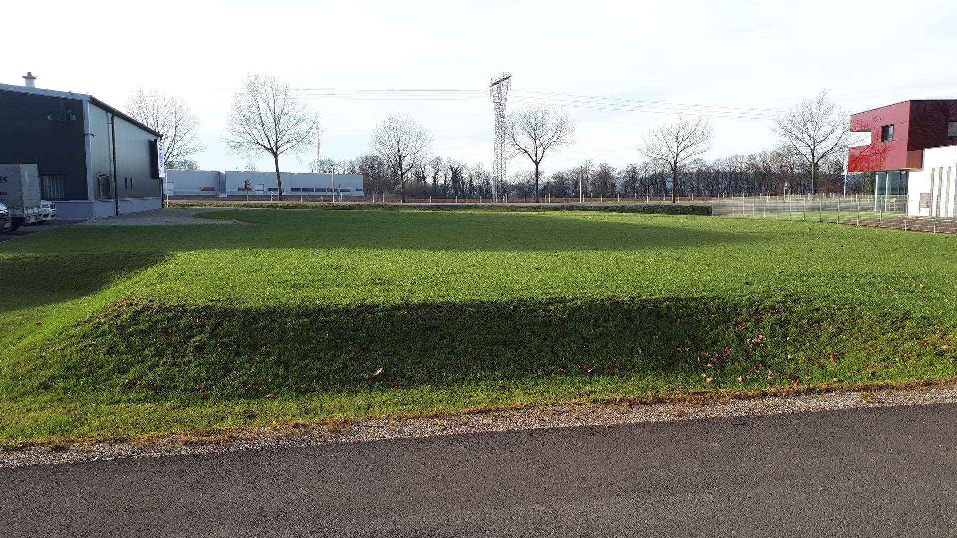 Weitläufige Grünfläche neben einem Gewerbegebiet mit Bäumen und Stromleitungen im Hintergrund.