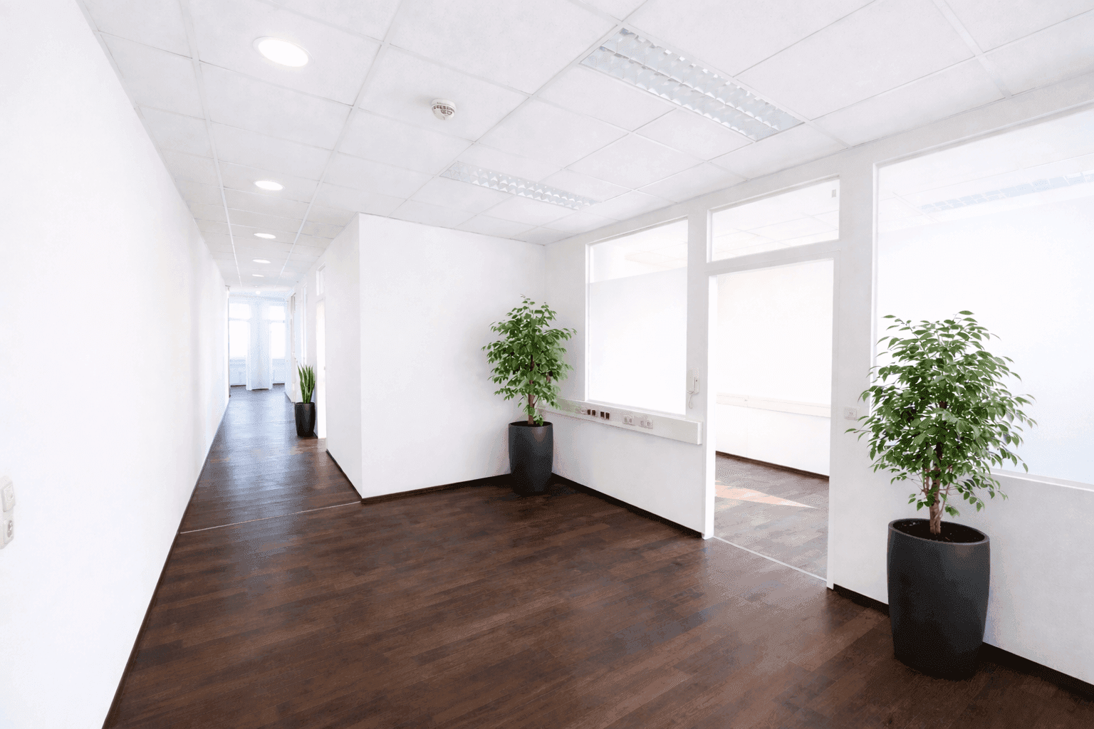 Repräsentatives Büro mit Aussicht - 128 m², modern &amp; kurzfristig beziehbar - Ansicht 2