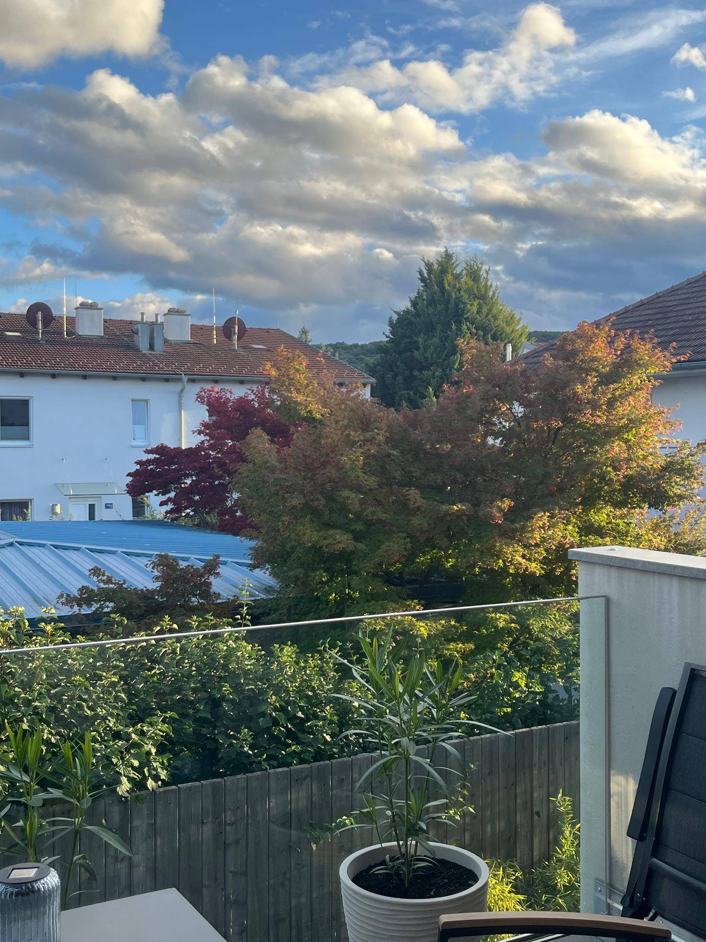 Balkon mit Blick auf grüne Bäume und die Dächer der umliegenden Häuser, sonnig und ruhig.
