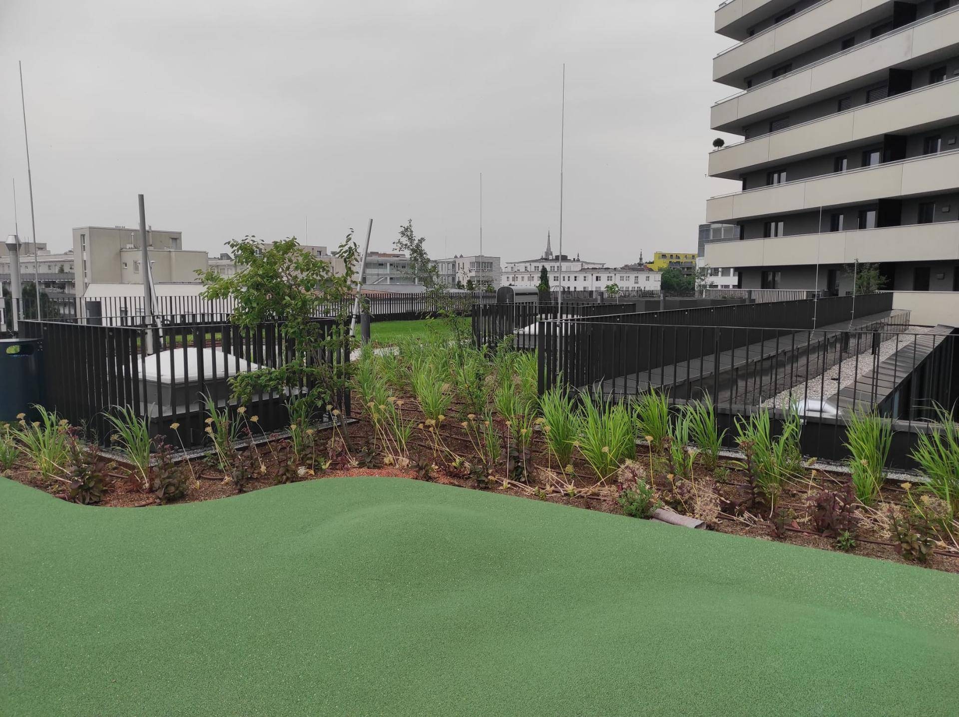 Dachgarten mit Bepflanzung, Rasen und Blick auf die umliegenden Gebäude.