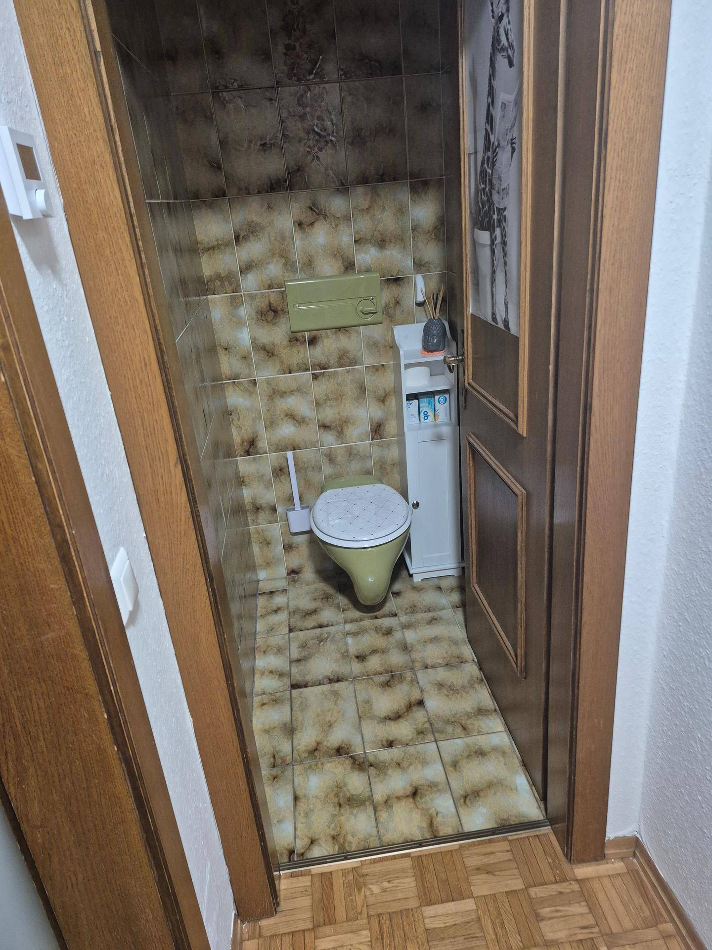 Kleines WC mit gemusterten Fliesen, grünem WC und Holztür.