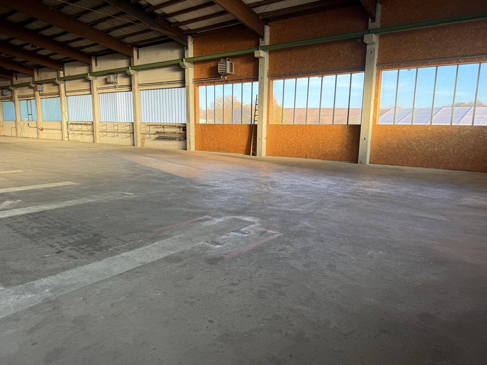 Weitläufige Industriehalle mit großen Fenstern, die viel Tageslicht hereinlassen, und einem robusten Betonboden.