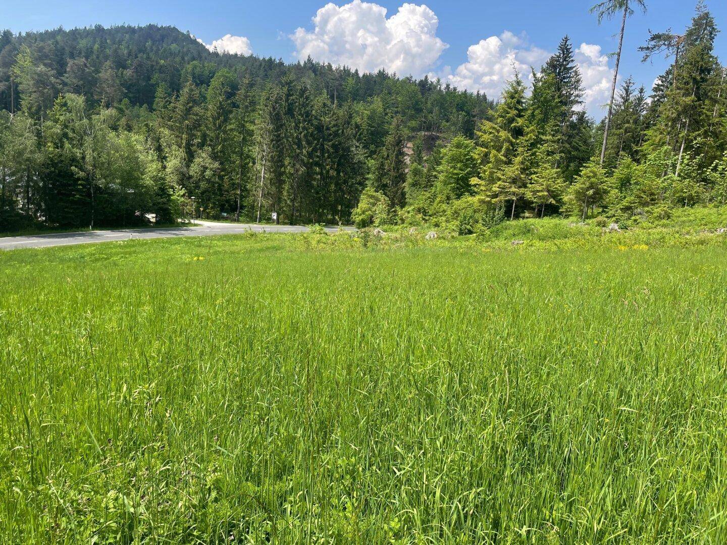 Ihr Platz in der Natur! - Ansicht 2
