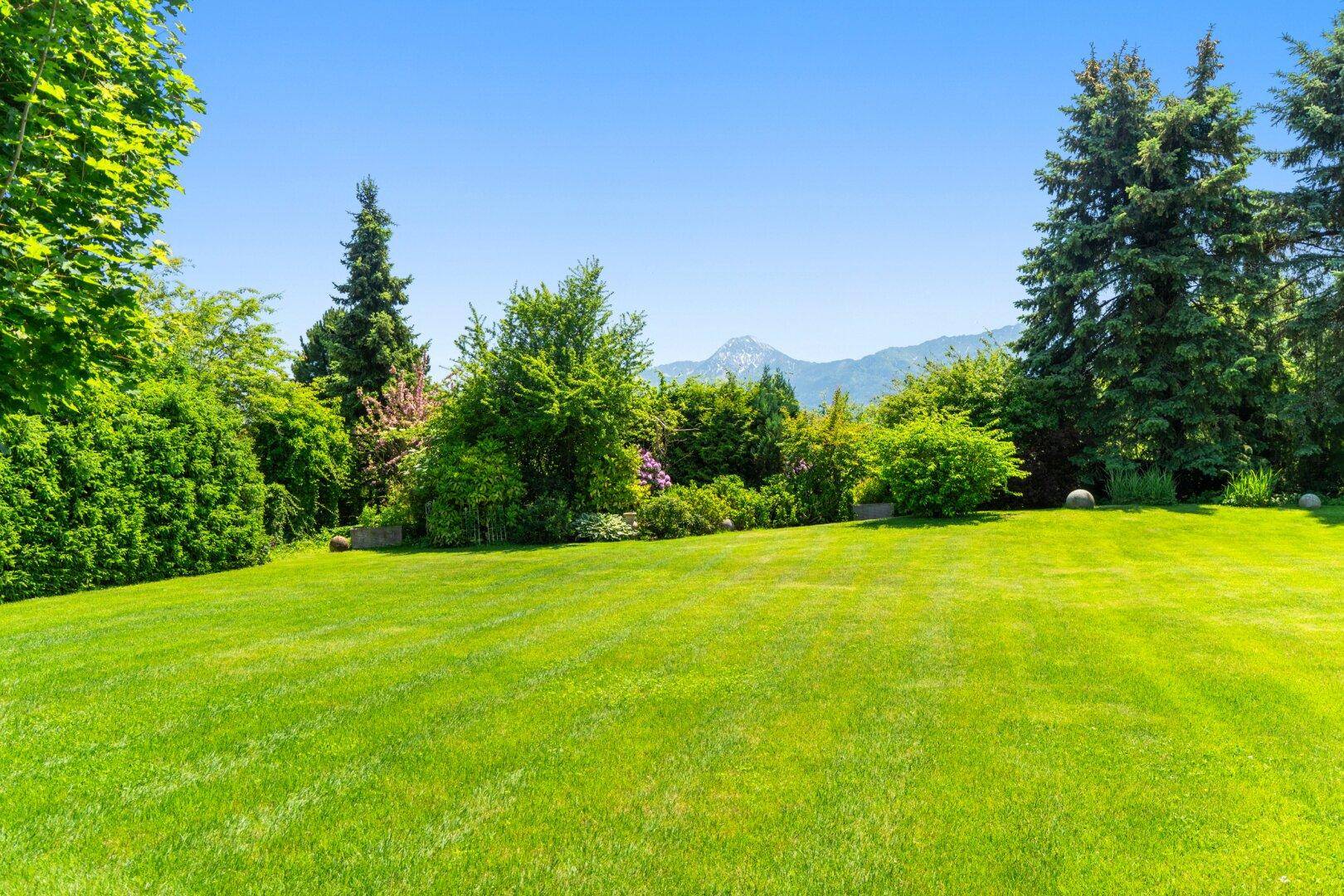 Gepflegter Rasenbereich im Garten mit üppiger Bepflanzung und Bergblick in der Ferne.