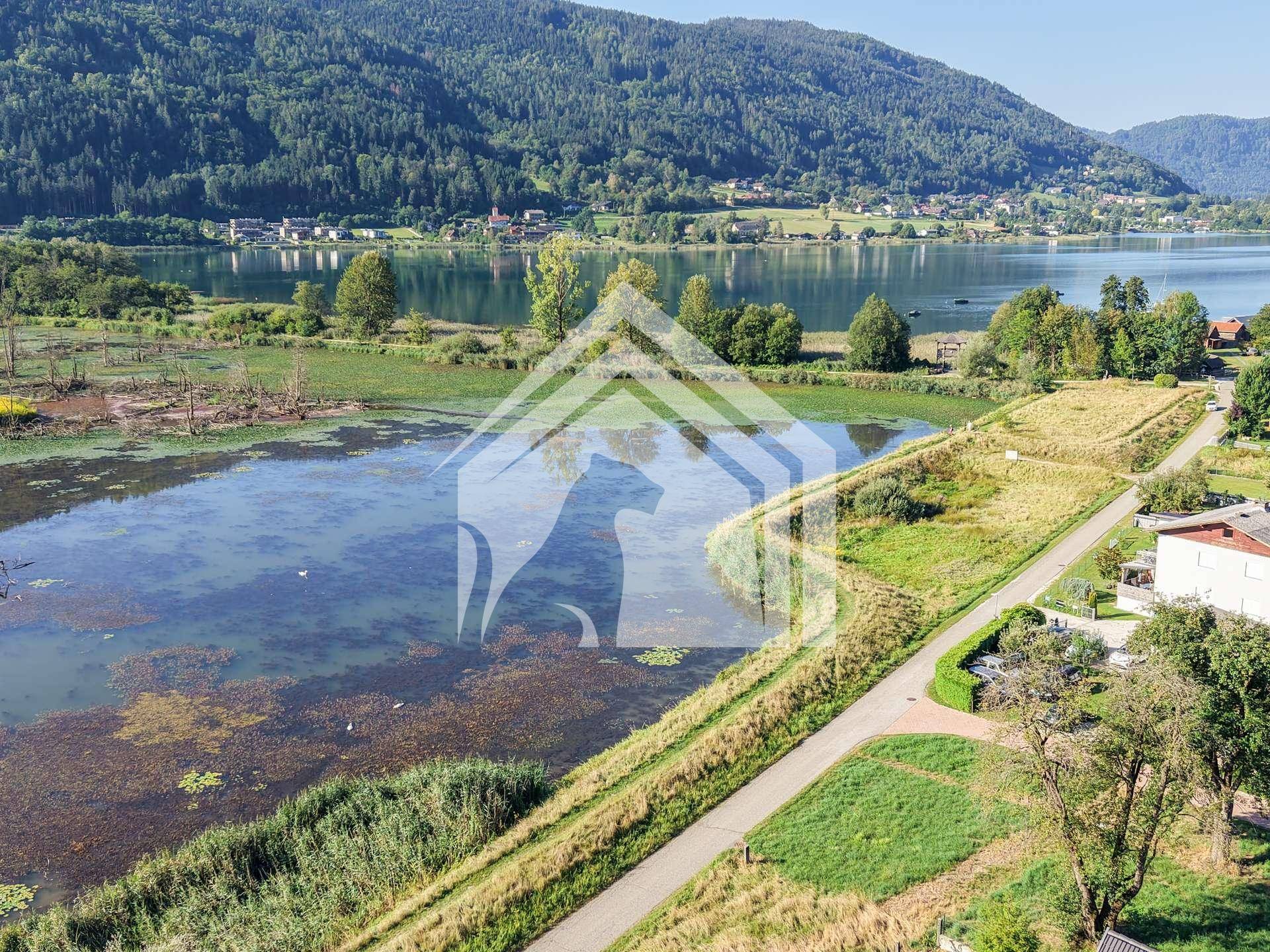 Weitläufige Luftaufnahme einer malerischen Seenlandschaft mit Bergen im Hintergrund und üppiger Vegetation.