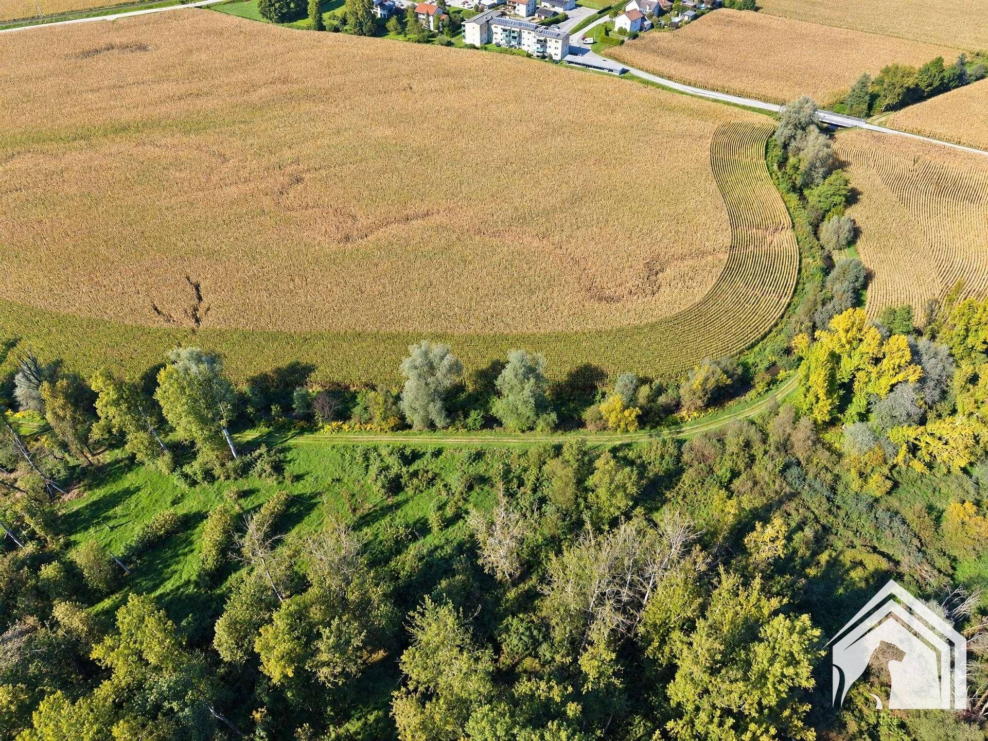 Luftaufnahme Umgebung