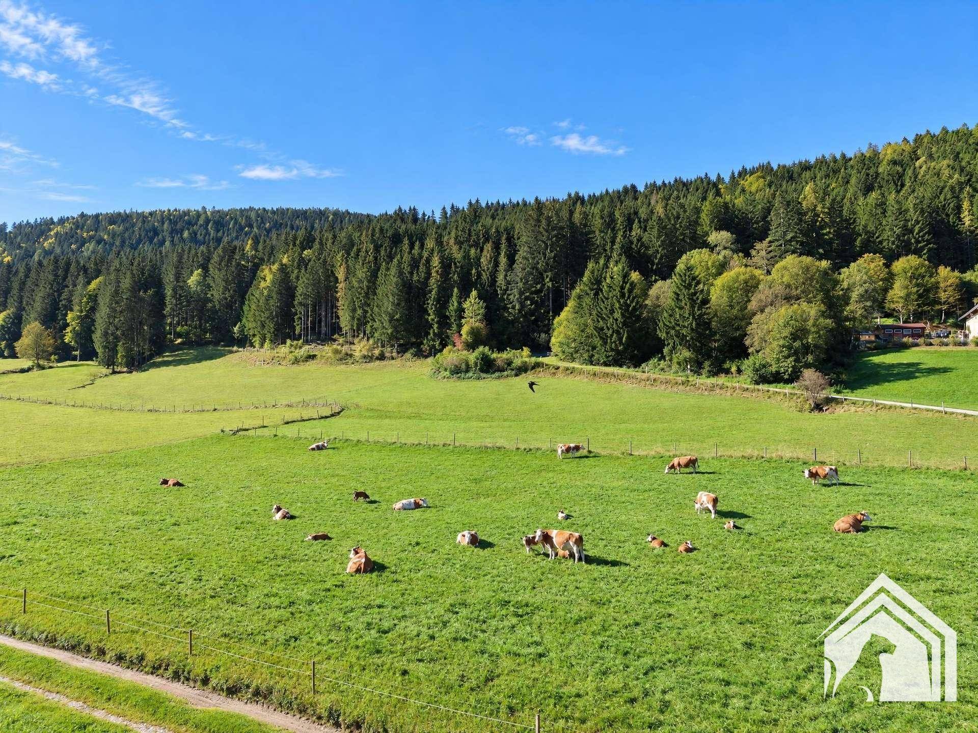 Natur
