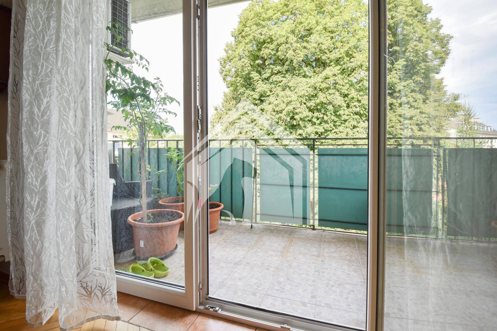 Blick aus einem Innenraum auf den Balkon mit Topfpflanzen und Sichtschutz.