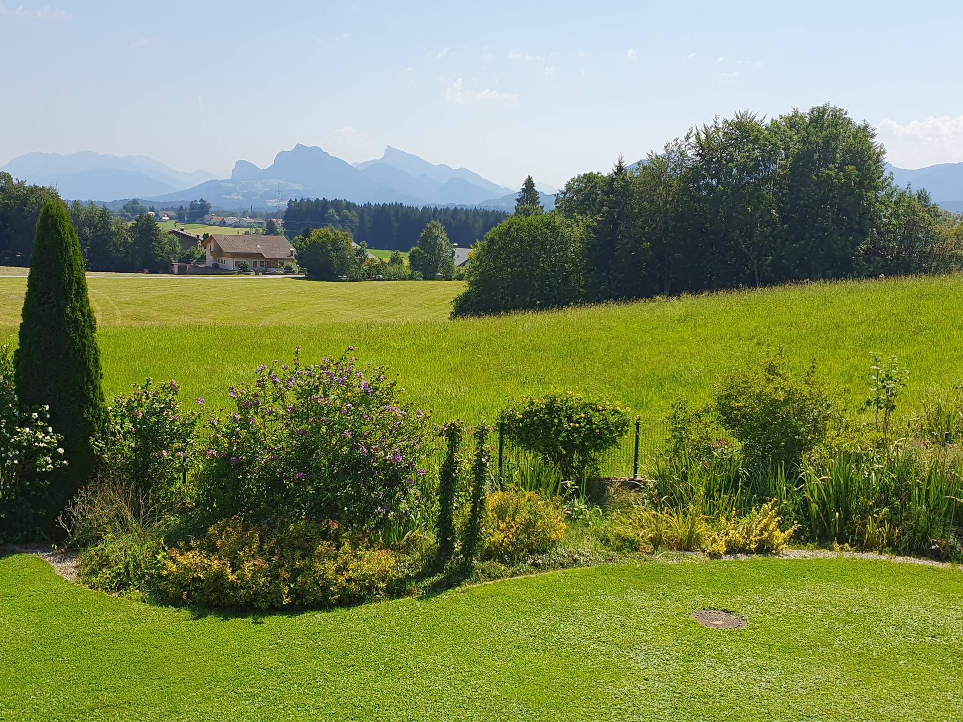 Malerischer Ausblick über grüne Felder und sanfte Hügel mit Bergen im Hintergrund an einem sonnigen Tag.