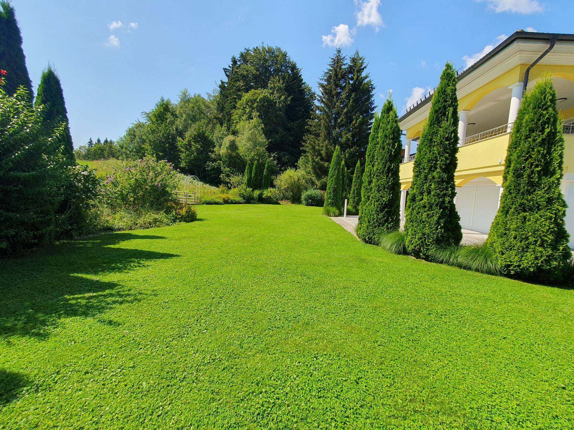 Gepflegter, weitläufiger Gartenbereich mit grüner Rasenfläche und hohen Zypressen unter blauem Himmel.