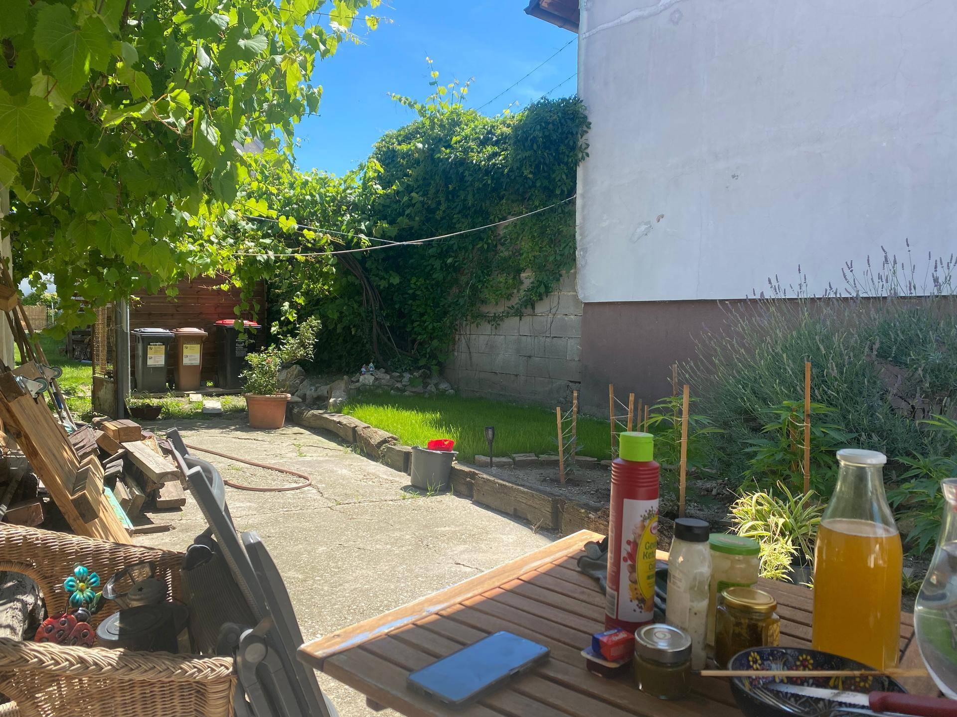 Gartenbereich mit Sitzgelegenheiten und viel Grün, ideal zum Entspannen.
