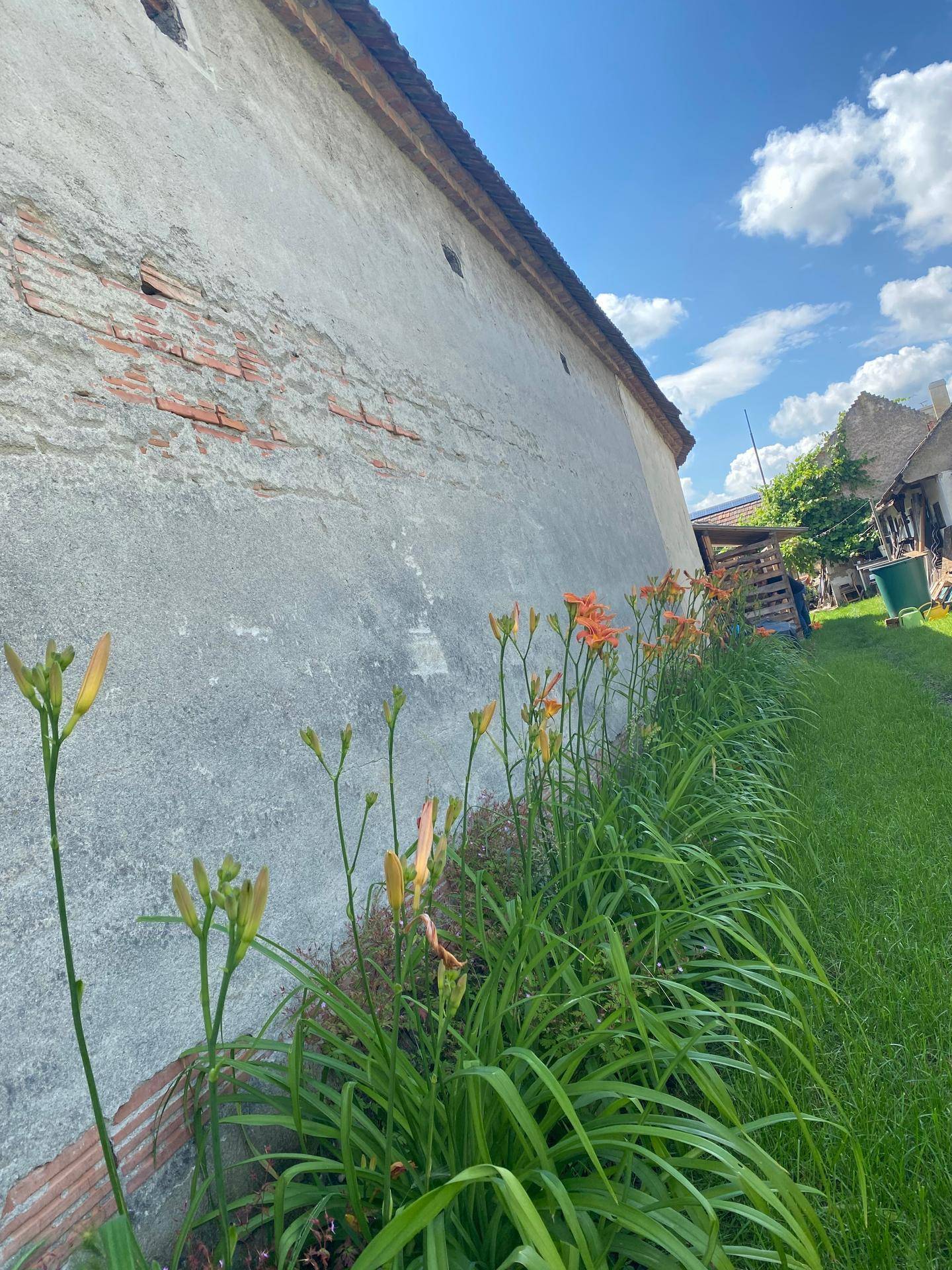 Blumenbeet entlang einer alten Hauswand mit orangefarbenen Lilien.
