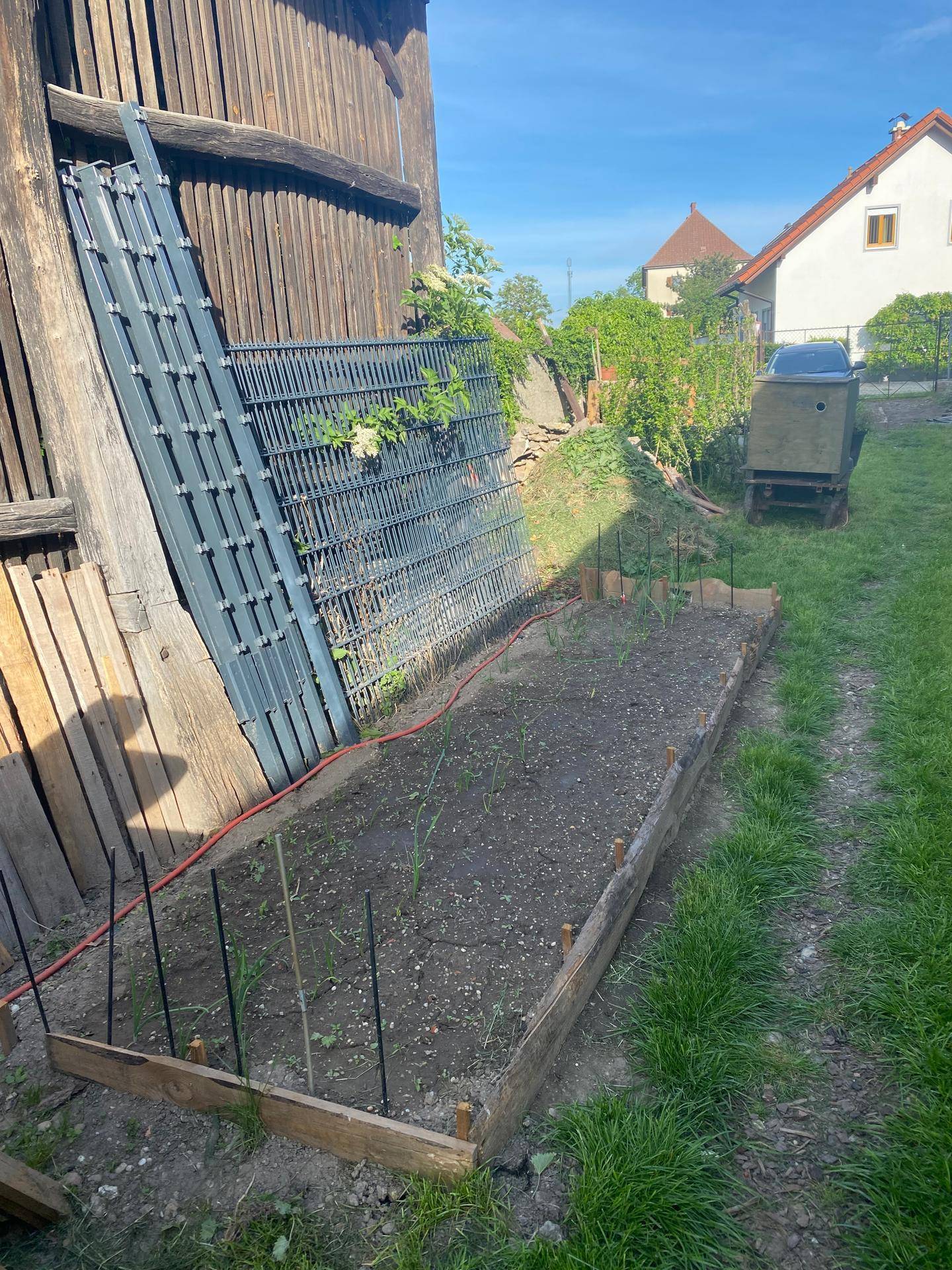 Bepflanztes Gartenbeet neben einem Holzschuppen, ordentlich angelegt.