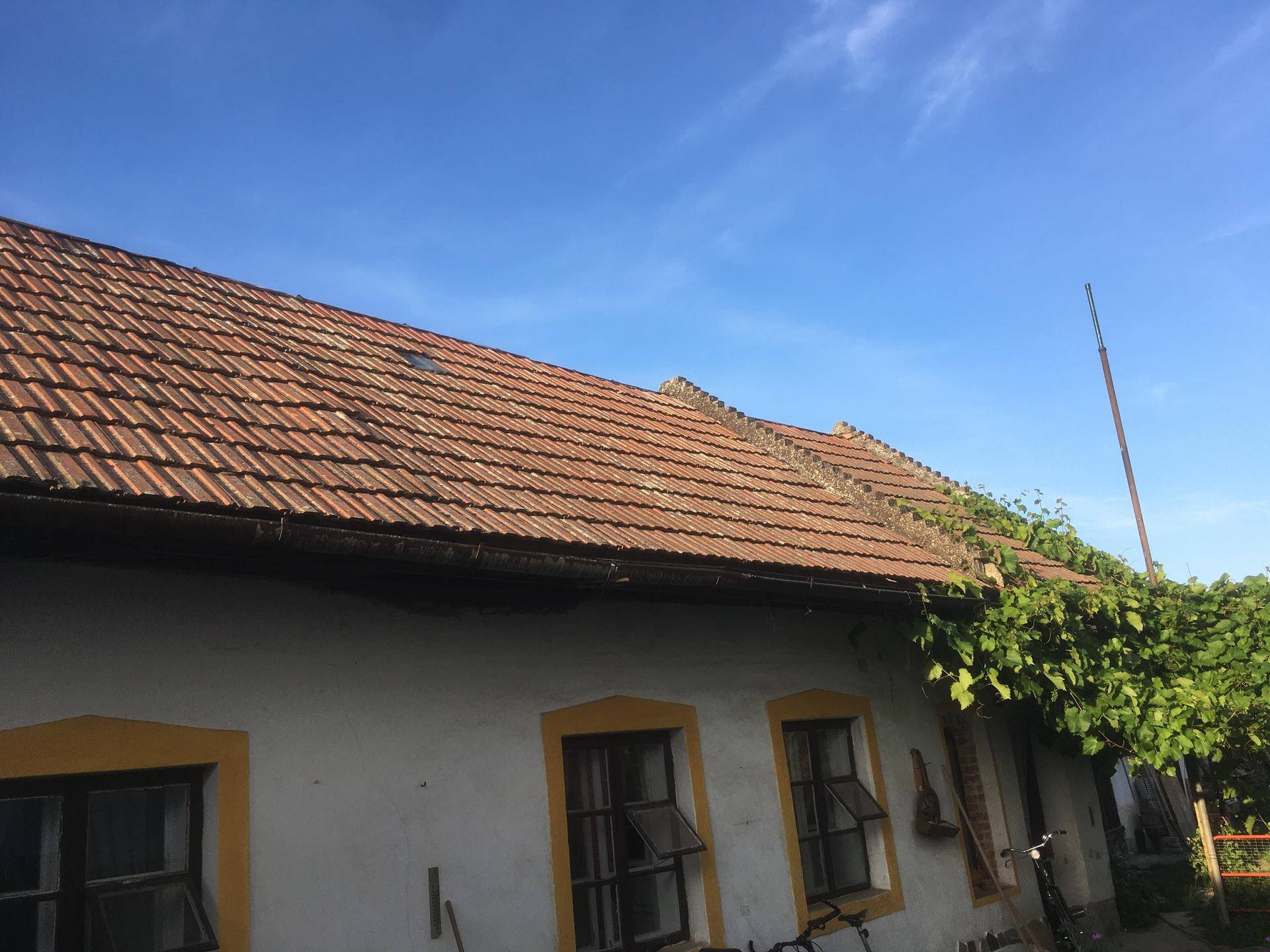 Altes Ziegeldach mit Bewuchs und blauer Himmel, typisch für ländliche Gebäude.