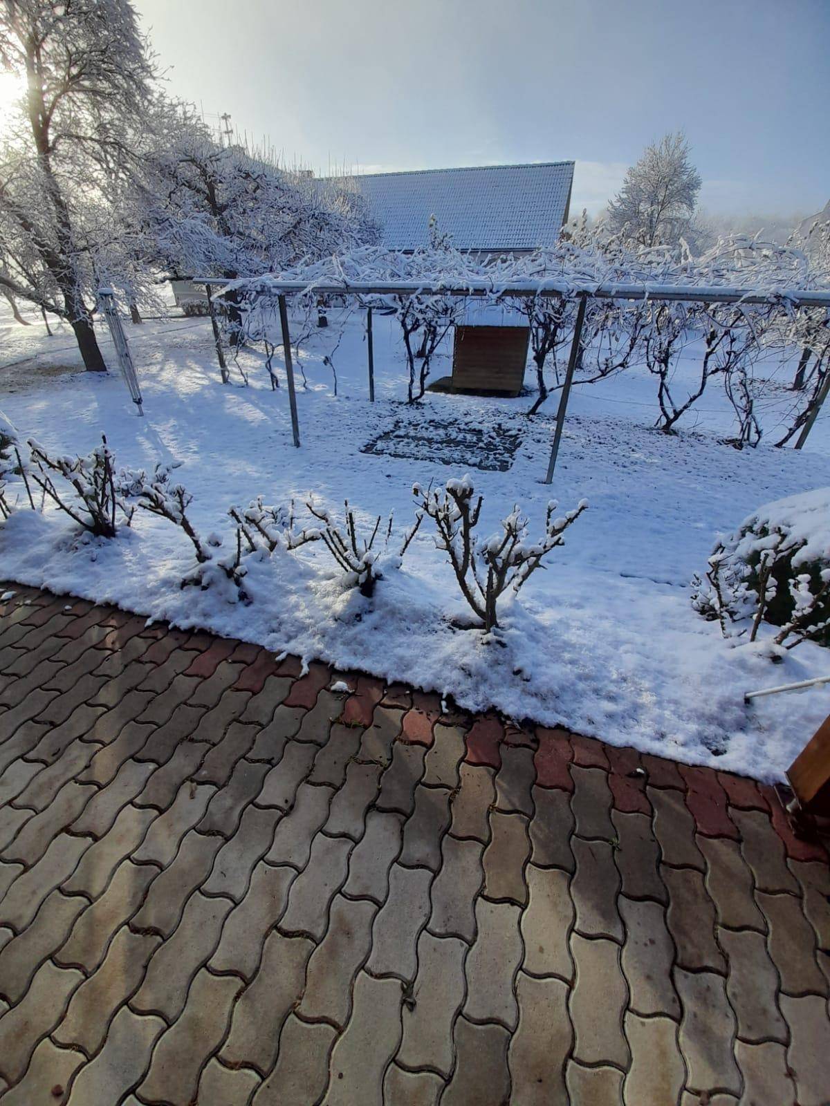 Verschneiter Gartenbereich mit gepflastertem Weg und Rebenstruktur an einem sonnigen Wintertag.