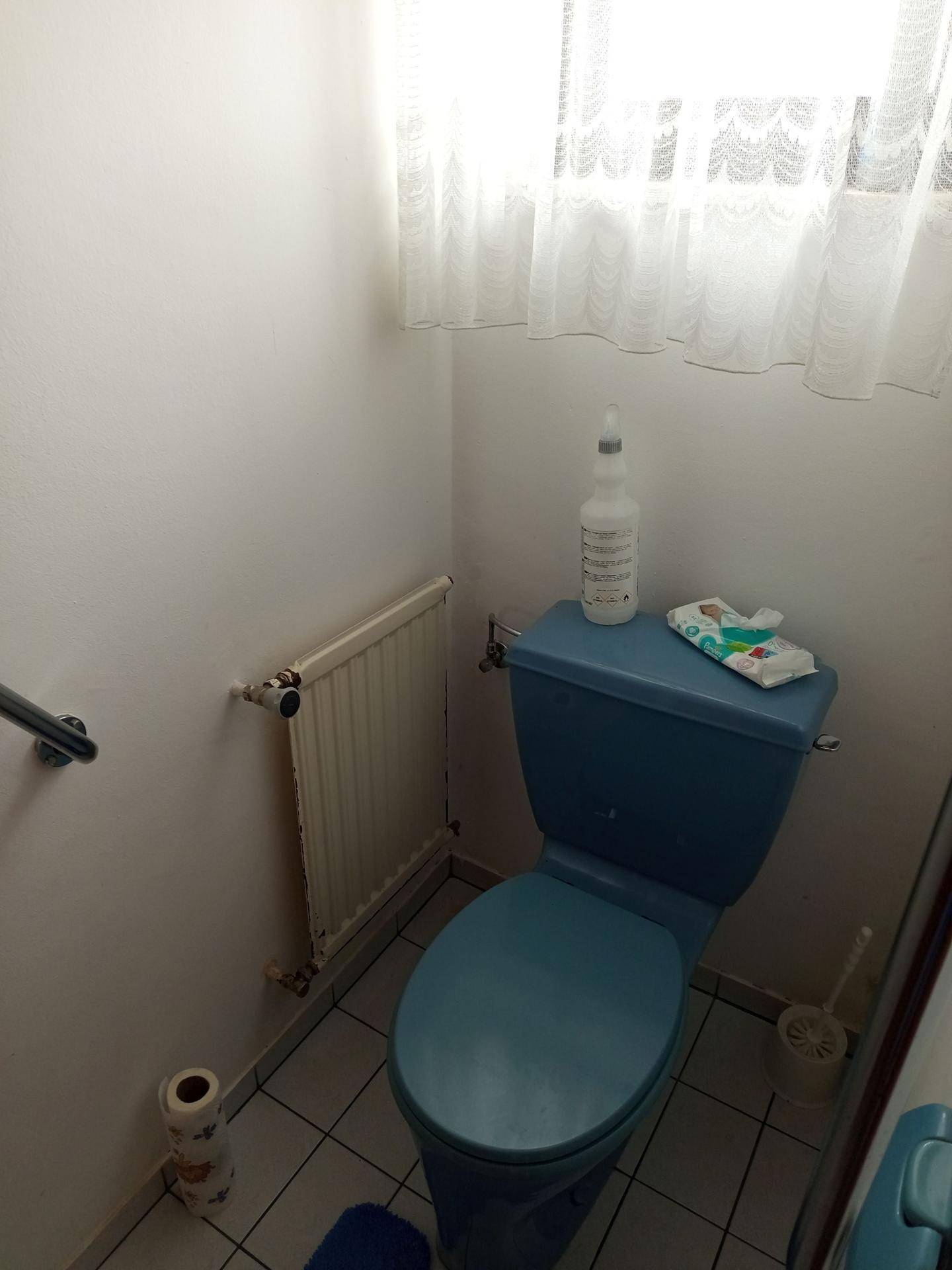 Toilette mit blauem WC, Heizkörper und Fenster für natürliche Belüftung.