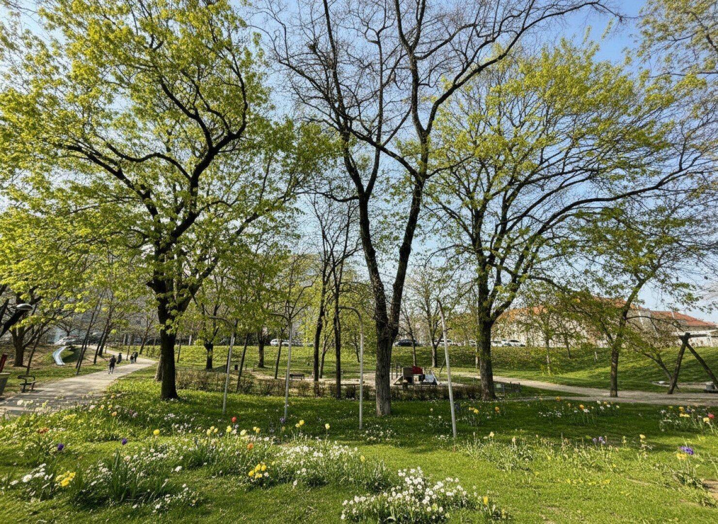 Grüne Parklandschaft mit blühenden Blumen und hohen Bäumen an einem sonnigen Tag.