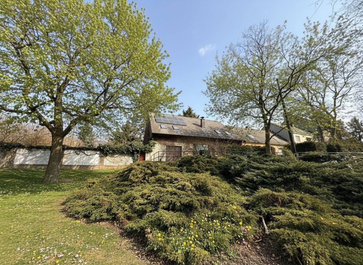 Wohnhaus mit Photovoltaikanlage auf dem Dach, umgeben von Bäumen und Sträuchern.