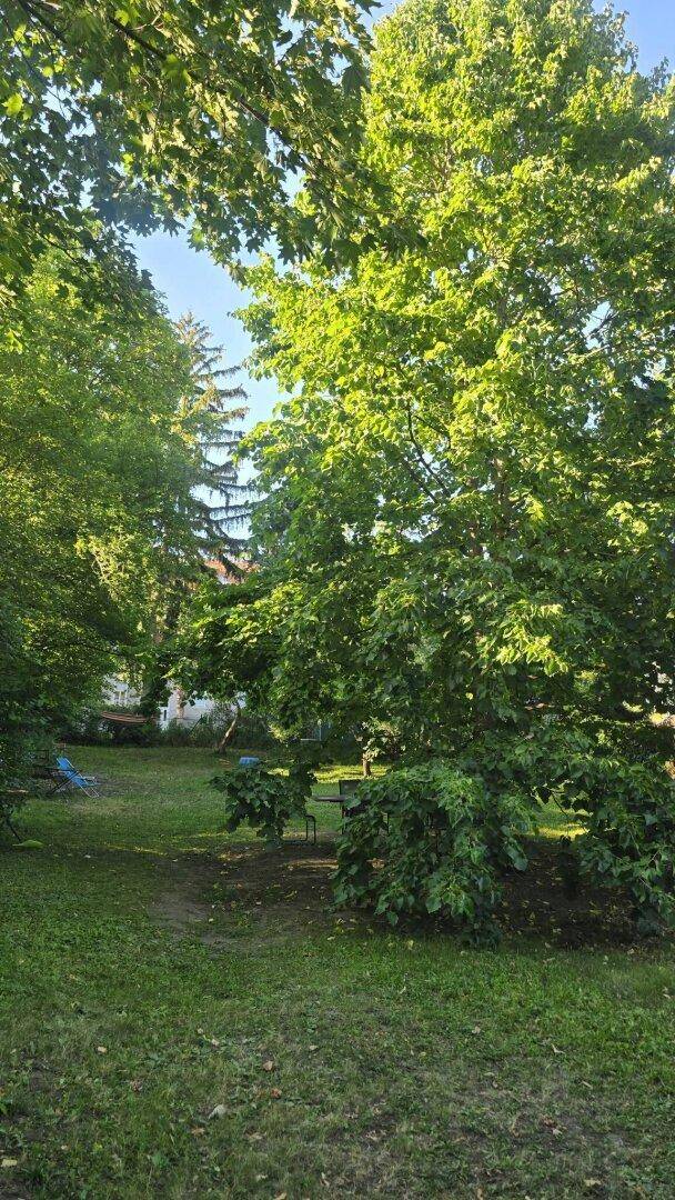 Idyllischer Gartenbereich mit altem Baumbestand und versteckten Sitzgelegenheiten im Grünen.