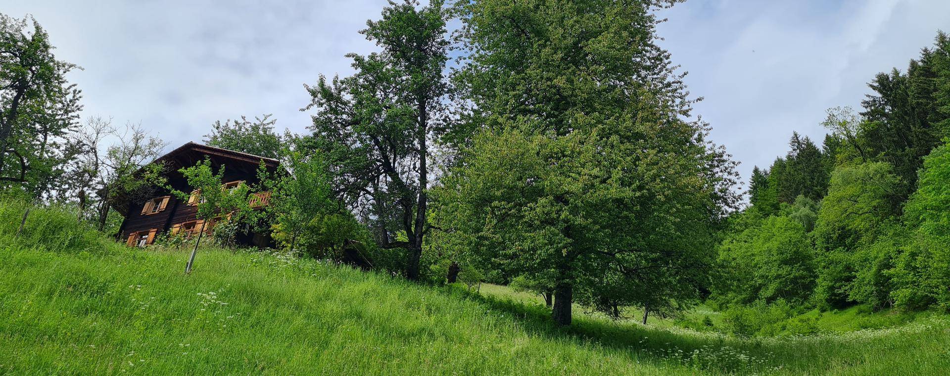 Weitläufige grüne Hügellandschaft mit einem traditionellen Holzhaus im Hintergrund unter blauem Himmel.