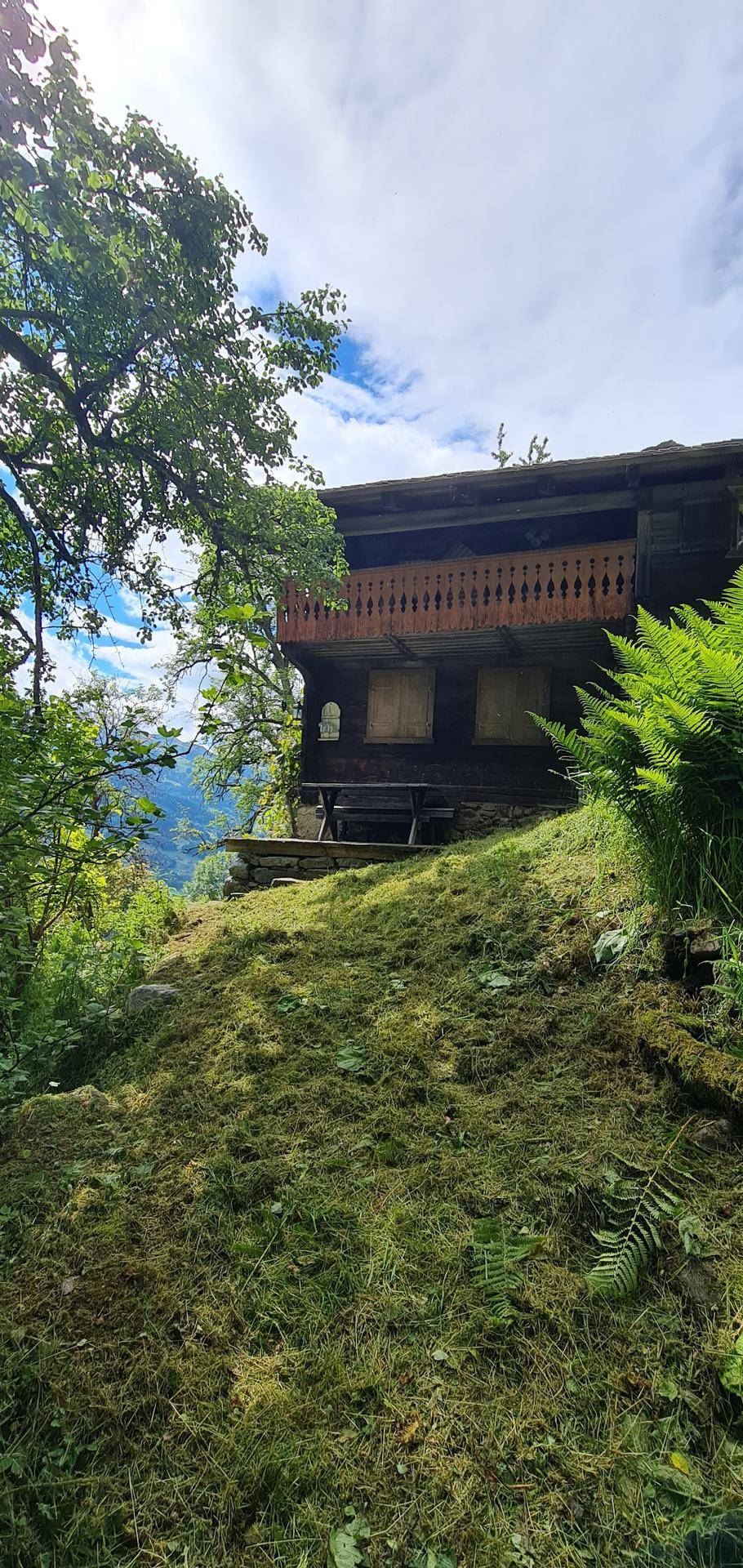 Rustikales Holzhaus mit Blick auf die umliegenden Berge und üppige Vegetation.
