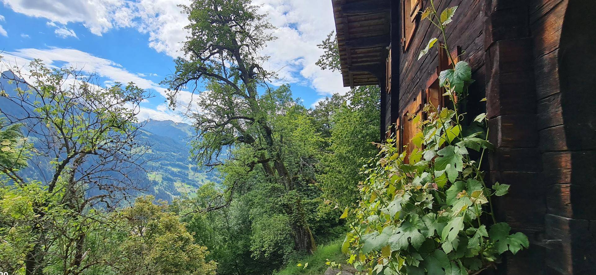 Rustikales Holzhaus mit üppiger Vegetation und einem weiten Blick auf die umliegende Berglandschaft.