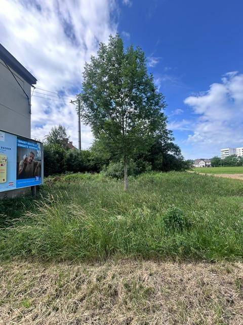 Blick auf ein unbebautes Grundstück mit hohem Gras und einem einzelnen Baum unter blauem Himmel.