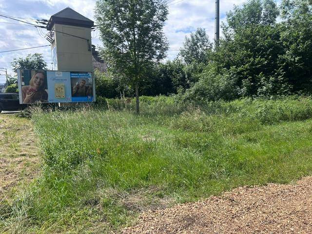 Unbebautes Grundstück an einer Straße mit üppigem Grün und einem Werbeplakat im Vordergrund.