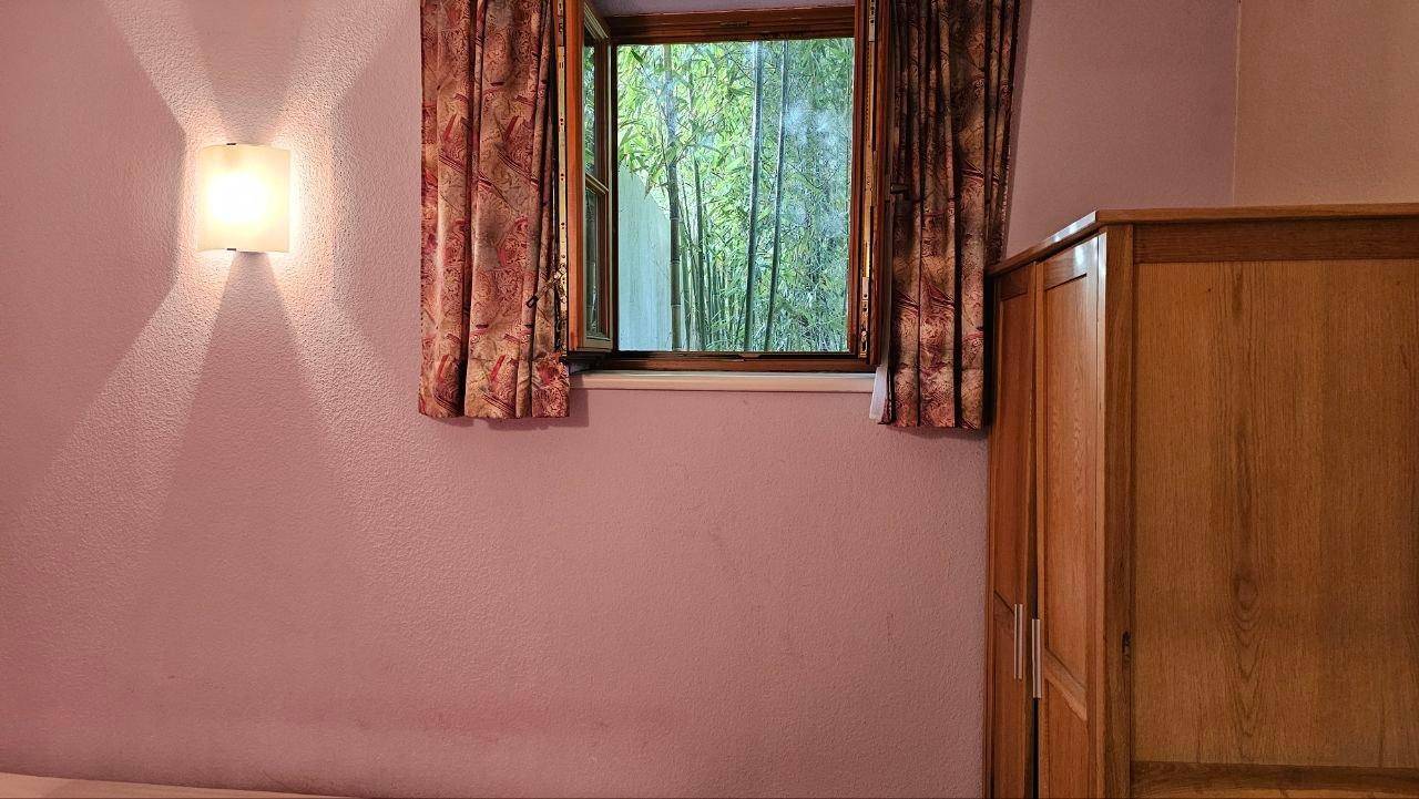 Nahaufnahme eines Fensters im Schlafzimmer mit Blick auf grüne Bambuspflanzen draußen.