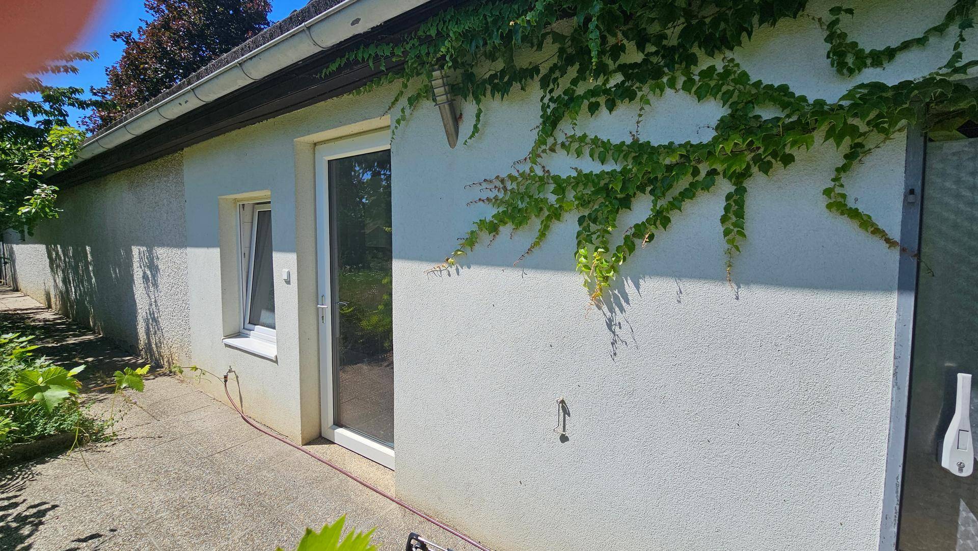 Gebäudefassade mit einem Fenster und einer Glastür, teilweise von Kletterpflanzen bewachsen.