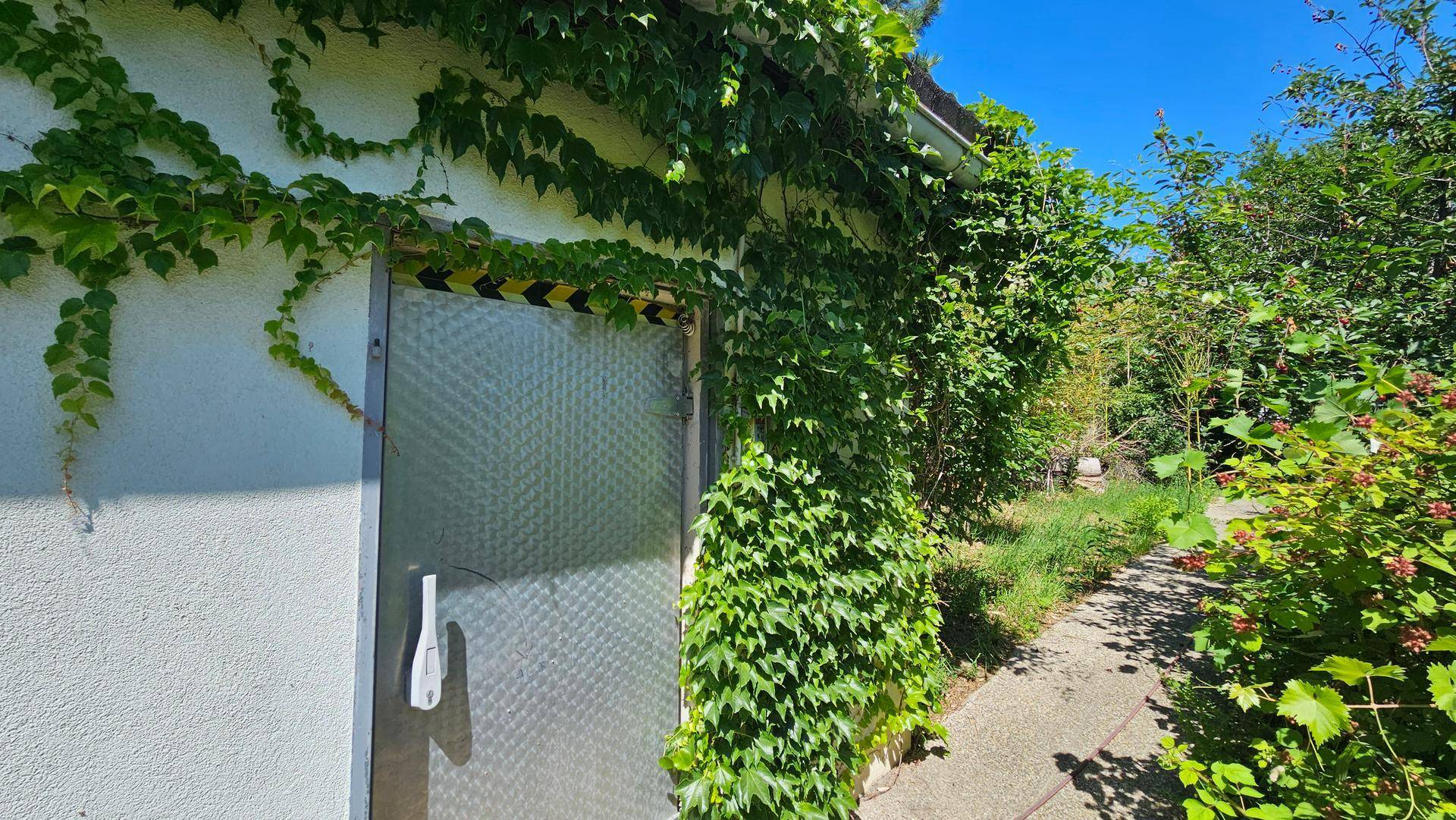 Gebäudefassade mit einer Metalltür, die von dichtem Efeu bewachsen ist, neben einem Gartenweg.