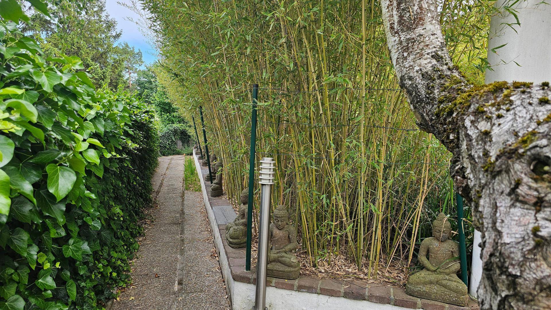 Gartenweg mit einer Reihe von Bambus, kleinen Buddha-Statuen und einem Baumstamm rechts.