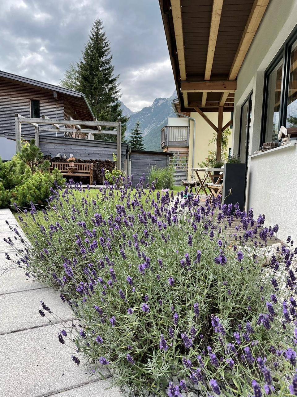 Gepflegter Garten mit blühendem Lavendel, Steinweg und Bergblick im Hintergrund.