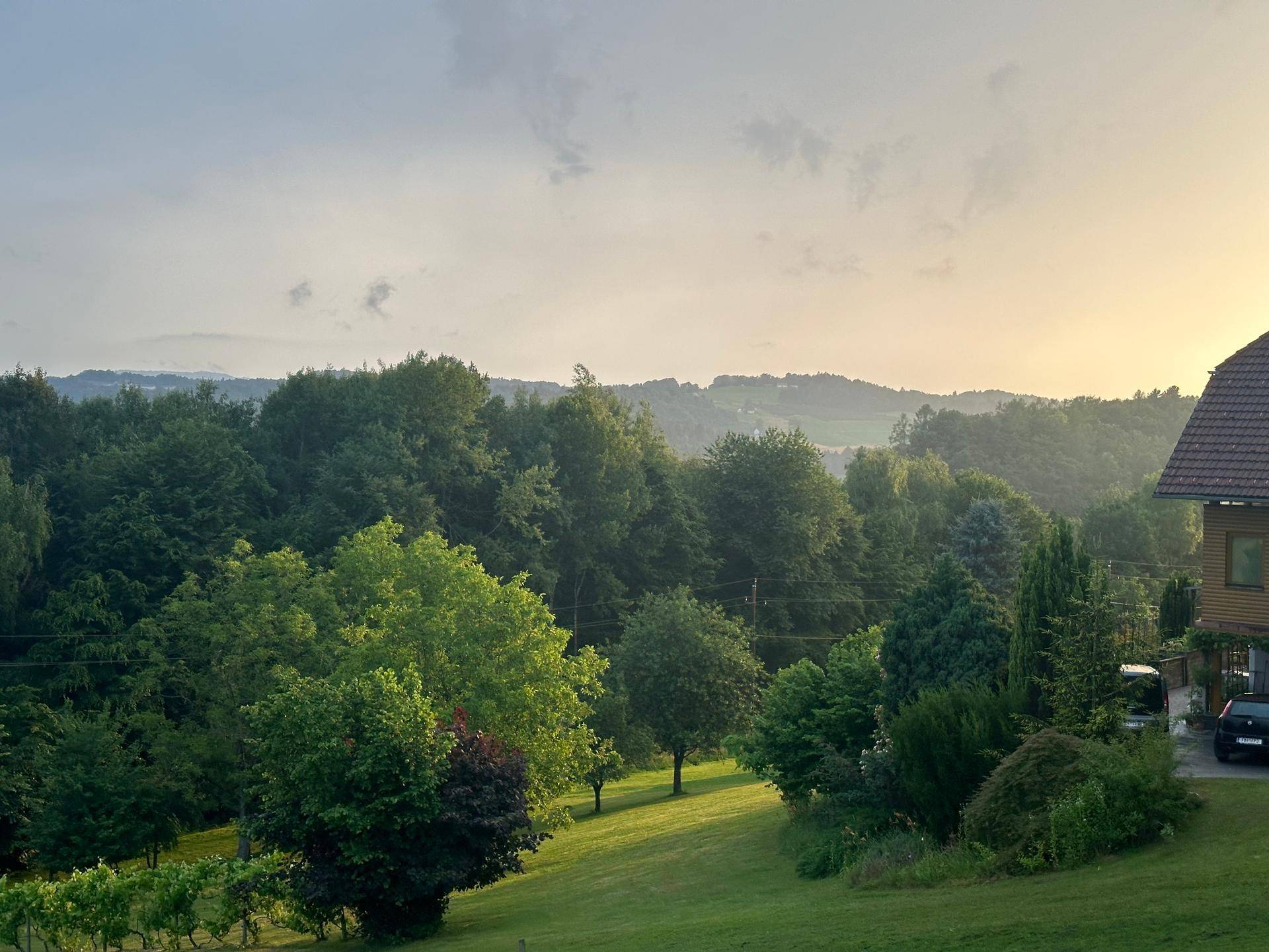 Weitläufige grüne Landschaft mit Bäumen und sanften Hügeln in der Ferne.