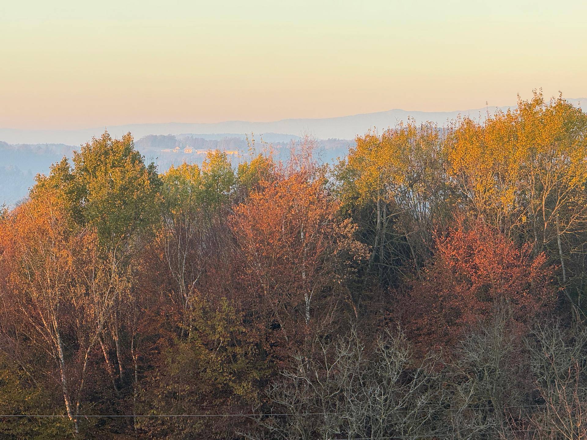 Herbstliche Bäume in leuchtenden Farben, die die Landschaft prägen.