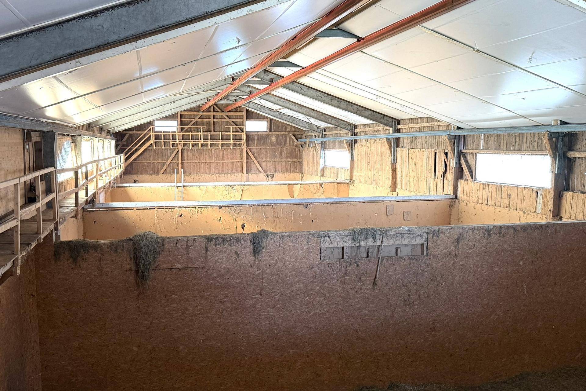 Geräumiger Innenbereich einer Scheune mit Holzverkleidung, Metallkonstruktion und viel Tageslicht.