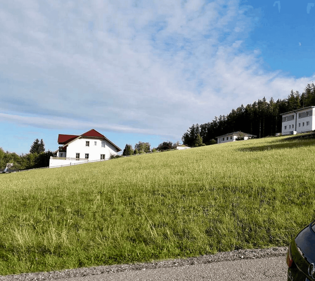 Grüne Wiesenlandschaft mit Wohnhäusern am Horizont und einem Teil eines Autos im Bild.