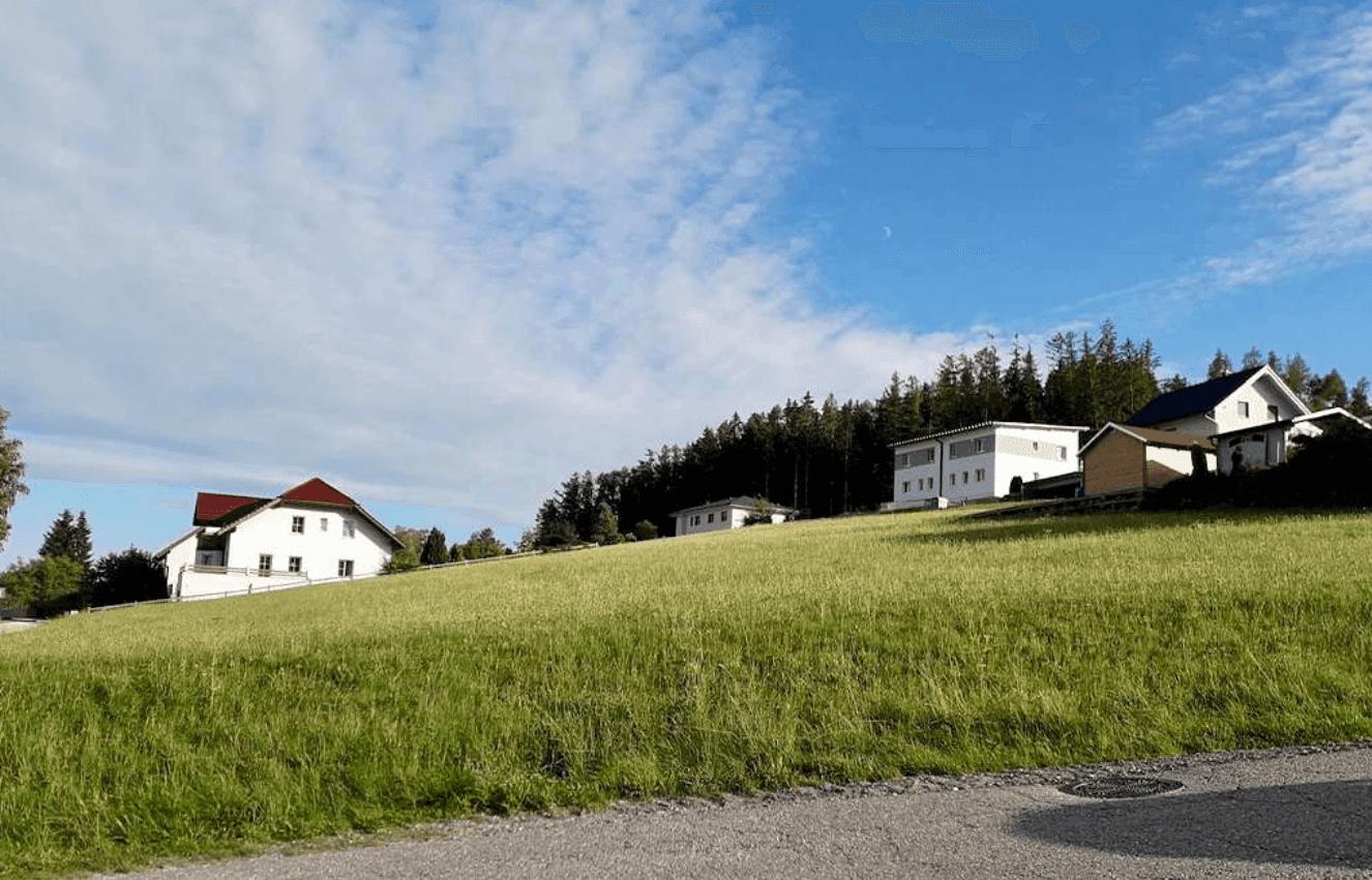 Idyllische ländliche Szene mit Wohnhäusern, einer weiten Wiese und einem Weg unter blauem Himmel.