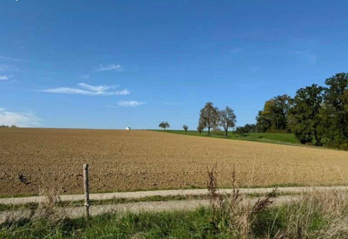 Baugrundstück in Hausleiten - Ruhige Idylle nahe Linz, Enns und Steyr - Ansicht 2