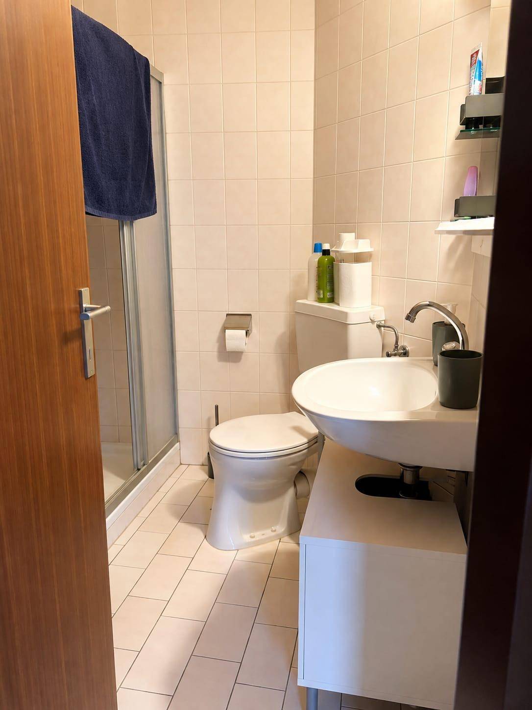 Helles Badezimmer mit beigefarbenen Fliesen, Dusche und modernem Waschbecken.