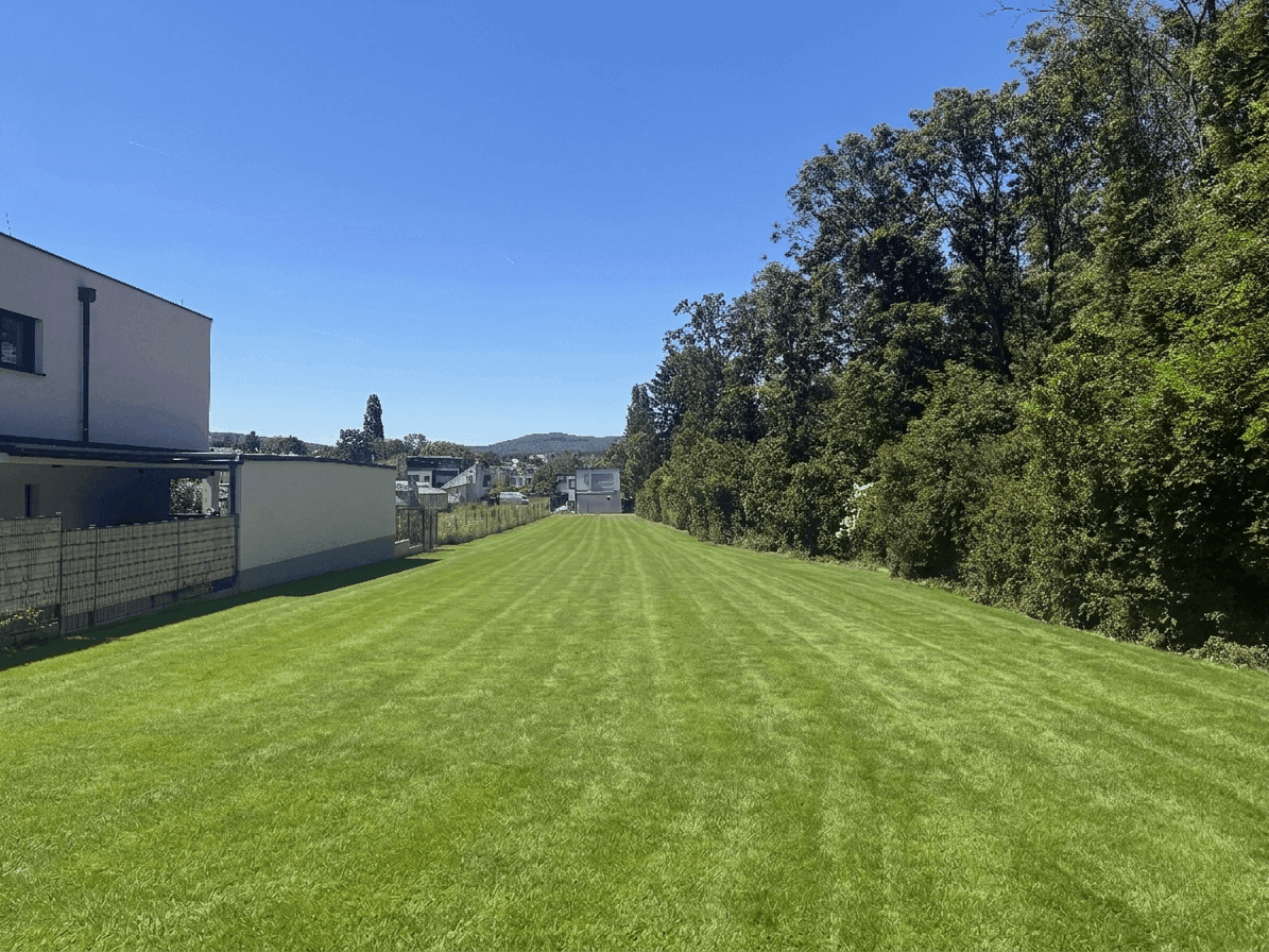 Sehr lange, gepflegte Rasenfläche, umgeben von einem modernen Haus und dichten Bäumen mit Fernblick.