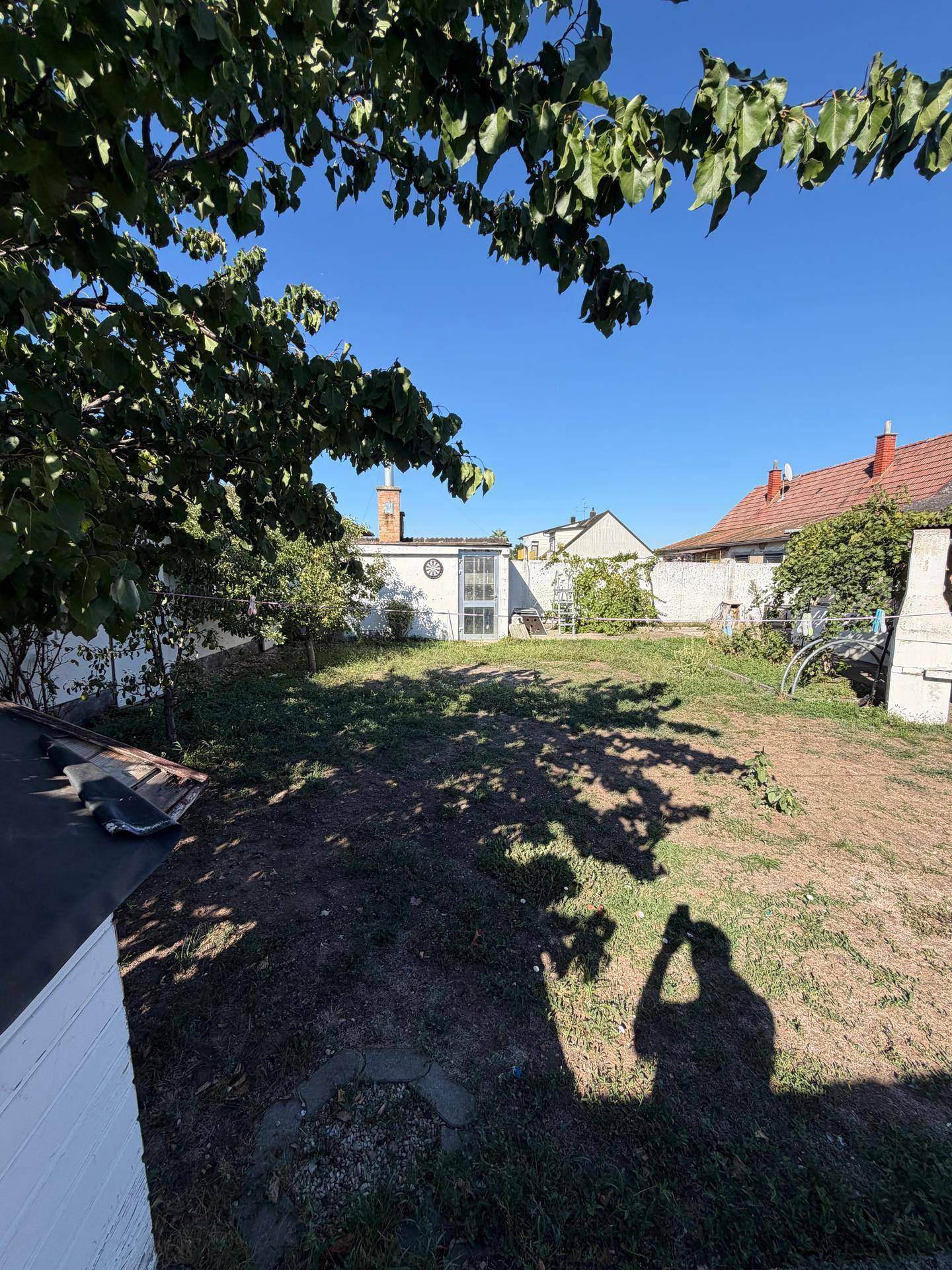 Weitläufiger Garten mit Bäumen und Rasenfläche, ideal für Entspannung im Freien.