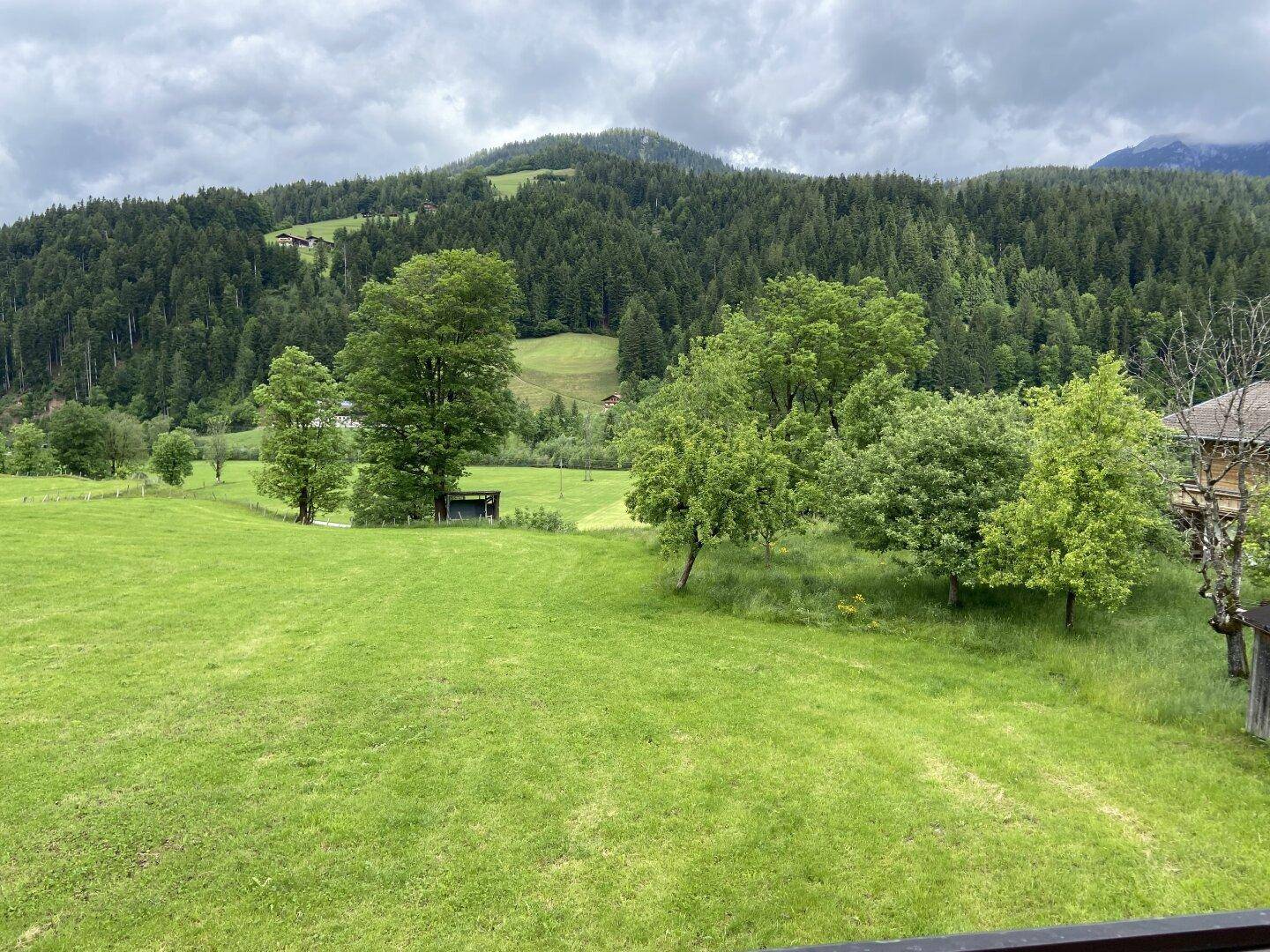 Weitläufige grüne Wiesen und Wälder mit Bergen im Hintergrund unter bewölktem Himmel.