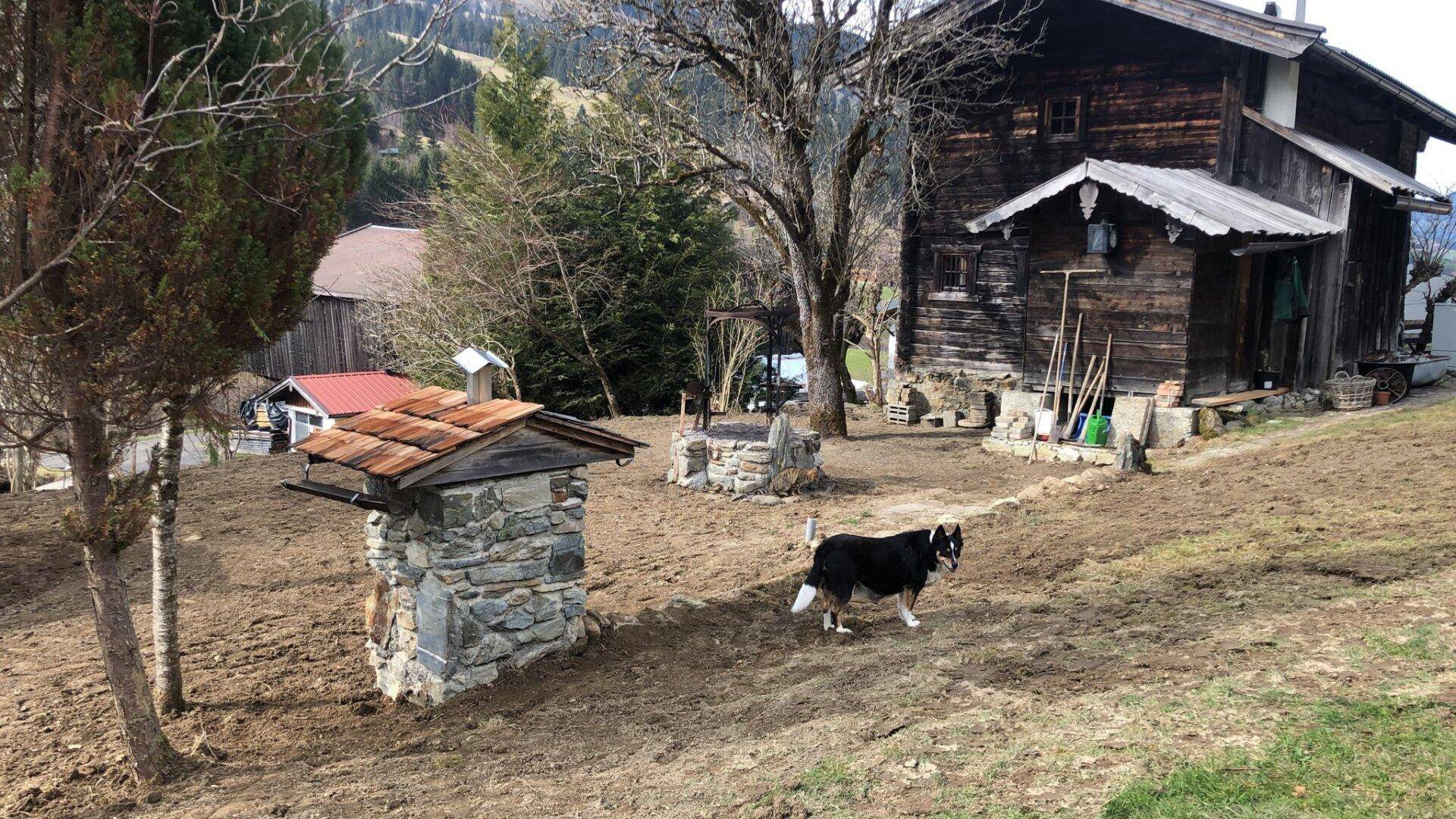 Rustikales Holzhaus mit weitläufigem, naturbelassenem Grundstück und einem Hund im Vordergrund.