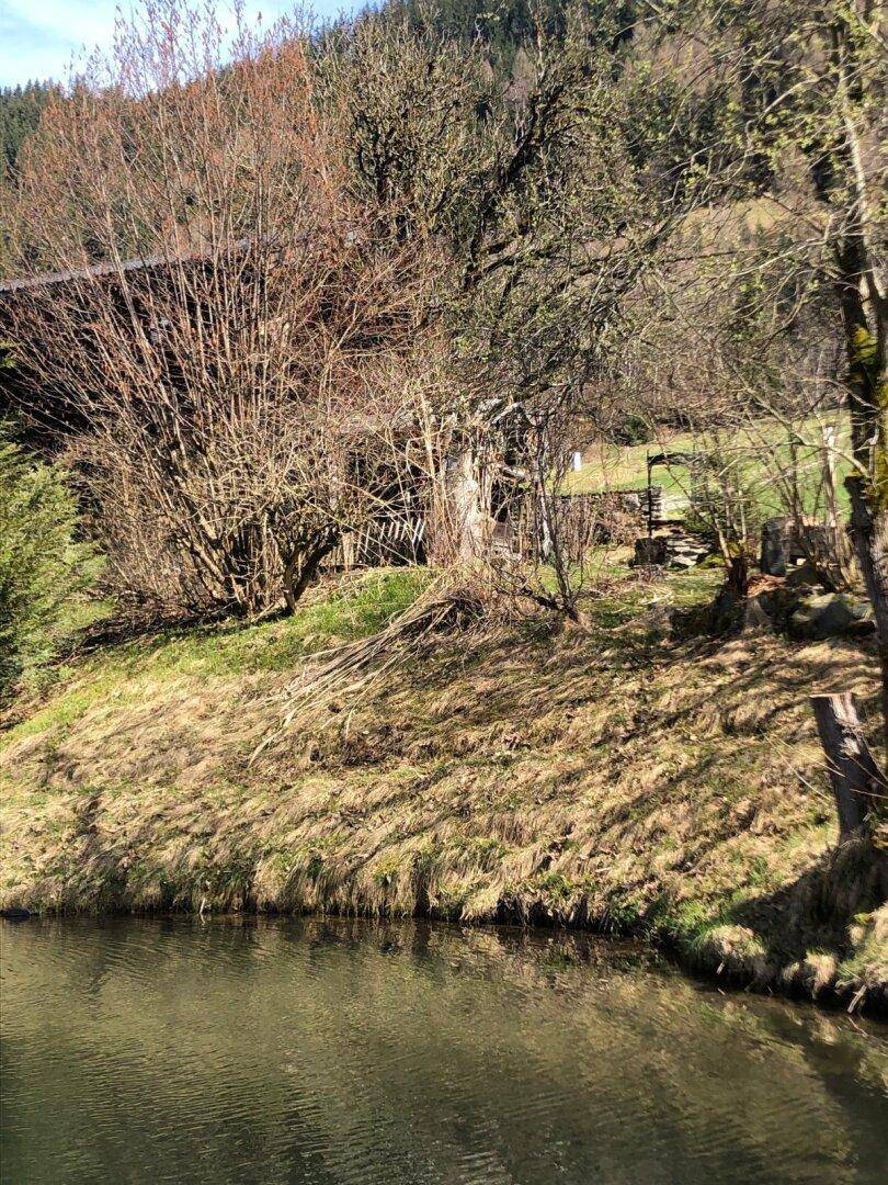 Ruhiger Teich mit Bäumen und grünen Hügeln im Hintergrund unter strahlend blauem Himmel.