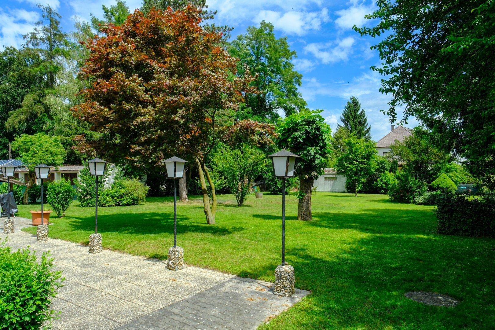 Projektentwicklung mit Bestand – Wohnungen, Apartments oder betreutes Wohnen! - Ansicht 2