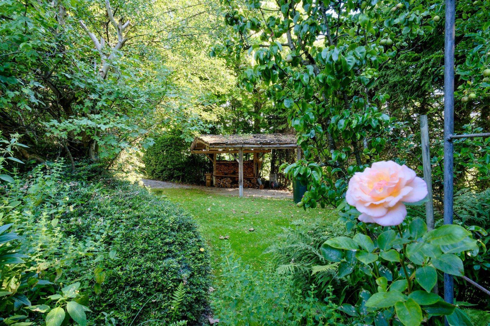 Verwunschener Gartenweg führt zu einem Holzunterstand, umgeben von üppigem Grün und einer blühenden Rose.