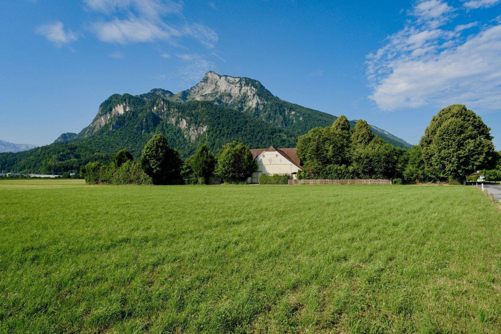 Weitläufige grüne Wiesenlandschaft mit einem Haus und Bäumen im Hintergrund, dominiert von einem imposanten Berg.